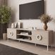Тумба TV в гостиную Ницца 3 МДФ Кашемир/Белый TV-7-031 фото 2